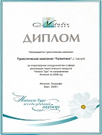 За плодотворное сотрудничество в сфере реализации продукта "Натали Турс" в 2008 г.